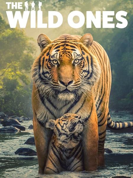 مسلسل The Wild Ones الموسم الاول الحلقة 4 مترجمة