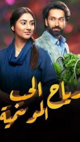 مسلسل رياح الحب الموسمية الموسم الخامس الحلقة 31 مدبلجة