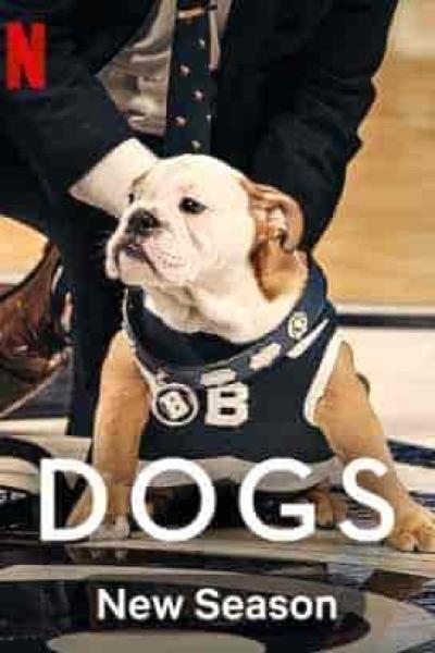 مسلسل Dogs الموسم الثاني الحلقة 2 الثانية مترجمة