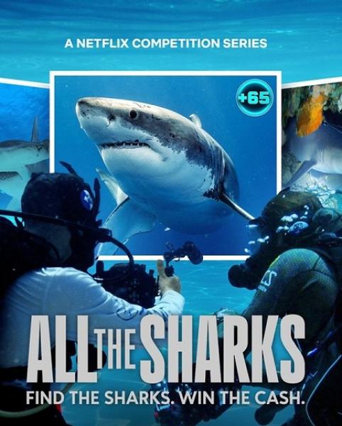 مسلسل All the Sharks الموسم الاول الحلقة 5 مترجمة
