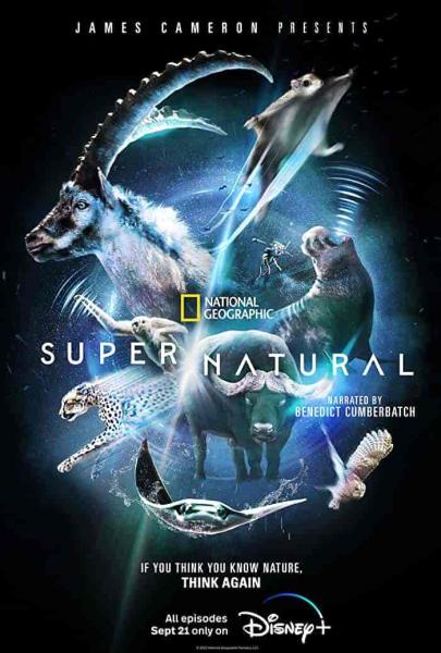 مسلسل Super Natural الموسم الاول الحلقة 5 الخامسة مترجمة