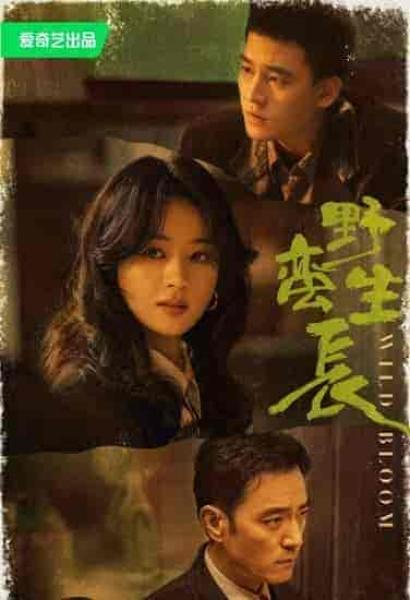 مسلسل النمو الوحشي Wild Bloom الحلقة 21 مترجمة