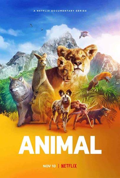 مسلسل Animal الموسم الاول الحلقة 4 والاخيرة مترجمة