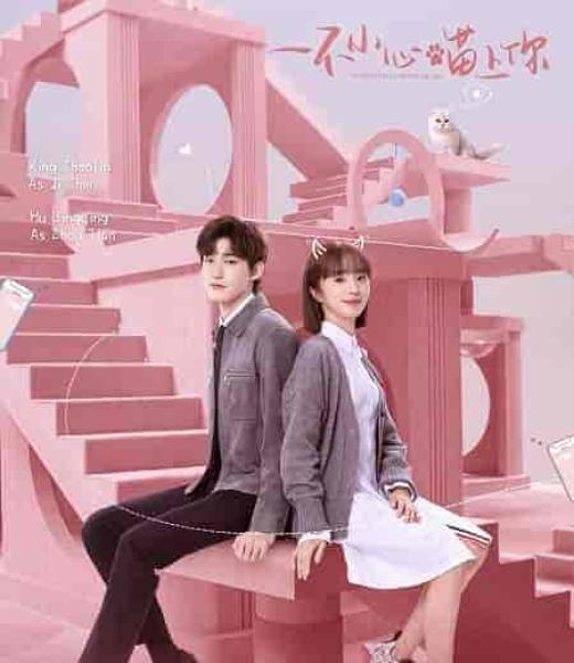 مسلسل مؤاء مؤاء يرتبط بالحب Accidentally Meow on You الحلقة 8 مترجمة