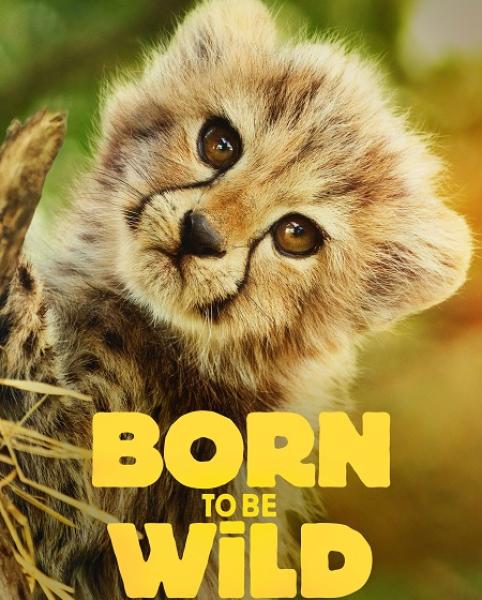 مسلسل Born to be Wild الموسم الاول الحلقة 5 مترجمة